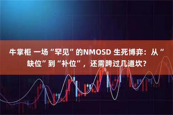 牛掌柜 一场“罕见”的NMOSD 生死博弈:从“缺位”到“补位”,还需跨过几道坎?