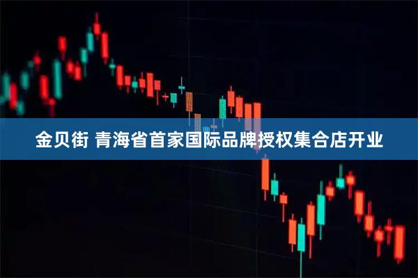 金贝街 青海省首家国际品牌授权集合店开业